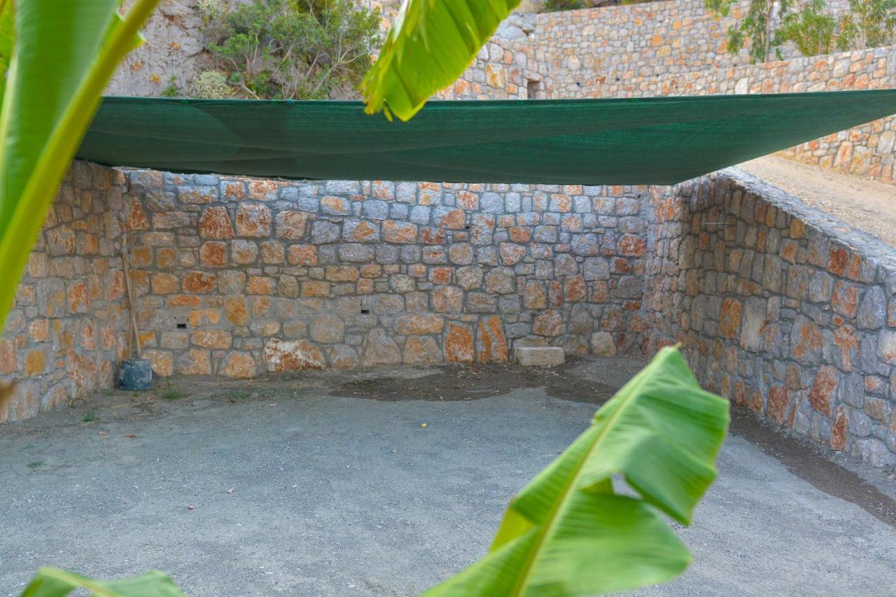 ארכאנגלוס Villa Rose מראה חיצוני תמונה