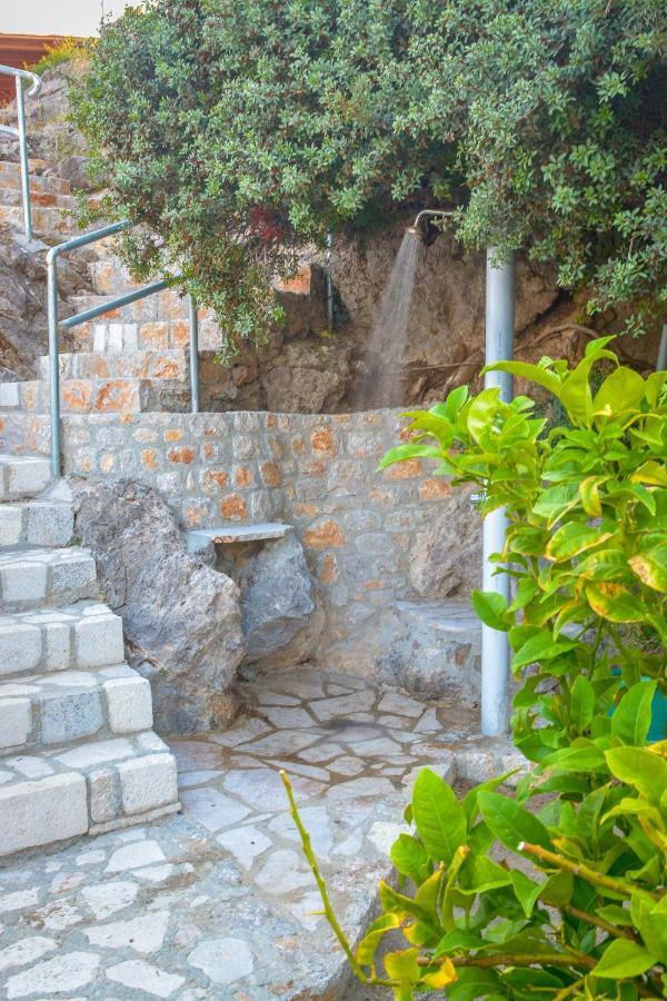 ארכאנגלוס Villa Rose מראה חיצוני תמונה